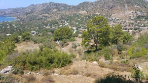 Marmaris - Söğüt Satılık Arsa