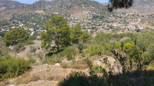 Marmaris - Söğüt Satılık Arsa