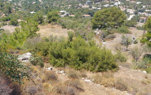 Marmaris - Söğüt Satılık Arsa