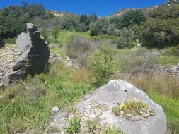 Marmaris - Söğüt Satılık Arsa