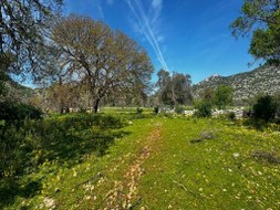 Marmaris - Taşlıca Satılık Arsa
