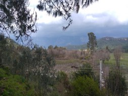 Marmaris - Söğüt Satılık Arsa