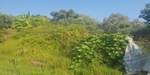 Marmaris - Söğüt Satılık Arsa