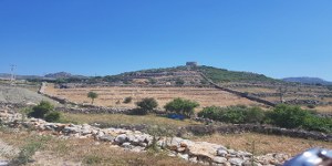 Marmaris - Söğüt Satılık Arsa