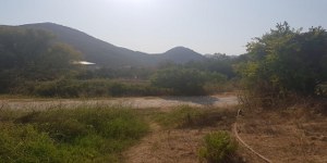 Marmaris - Söğüt Satılık Arsa