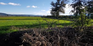 Menteşe - Algı Satılık Arsa