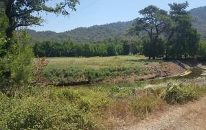 Marmaris - Söğüt Satılık Arsa