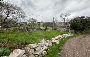 Marmaris - Söğüt Satılık Arsa