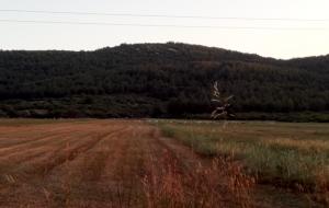 Ula  - Esentepe  Satılık Arsa