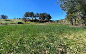 Menteşe  - Fadıl Satılık Arsa